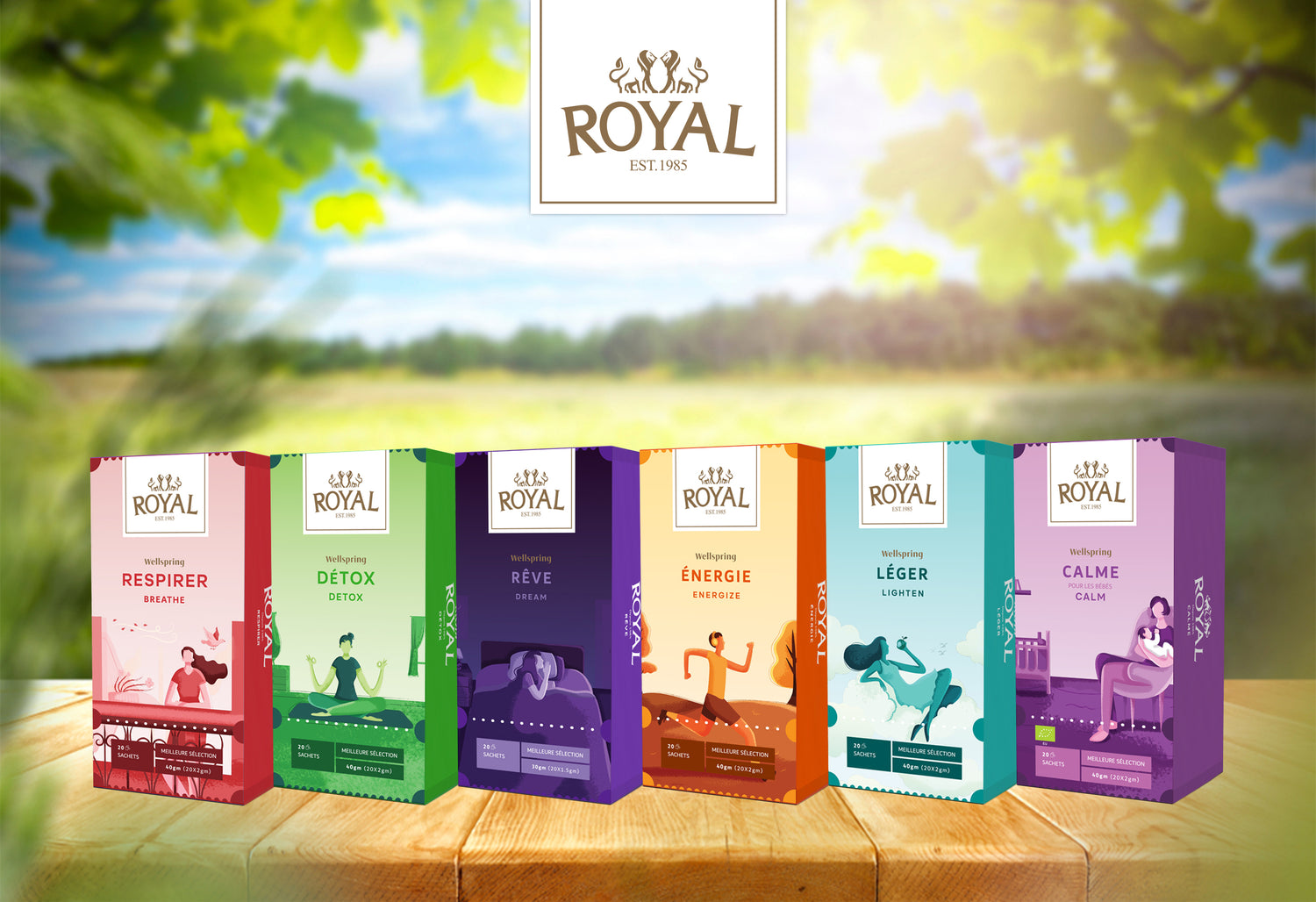 Lifestyle - Royal Regime Tea